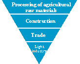 Processing of agricultural raw materials.Construction. Trade. Light industry.